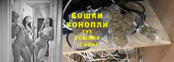 ПСИЛОЦИБИНОВЫЕ ГРИБЫ Инта