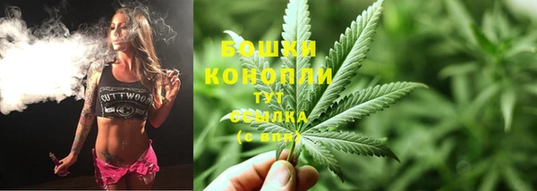 молекула духа Иннополис