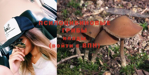 ПСИЛОЦИБИНОВЫЕ ГРИБЫ Инта
