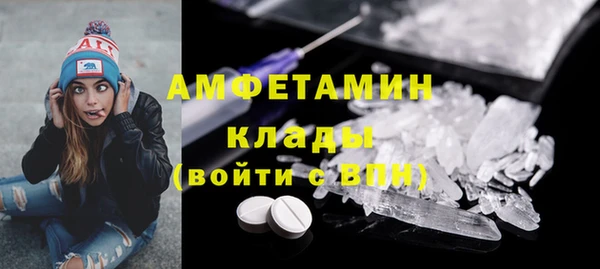 ПСИЛОЦИБИНОВЫЕ ГРИБЫ Инта