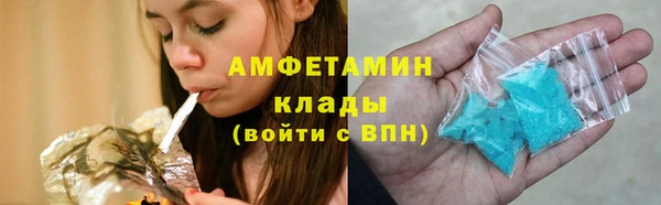 ПСИЛОЦИБИНОВЫЕ ГРИБЫ Инта
