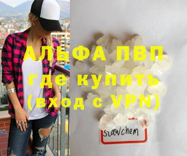ПСИЛОЦИБИНОВЫЕ ГРИБЫ Инта