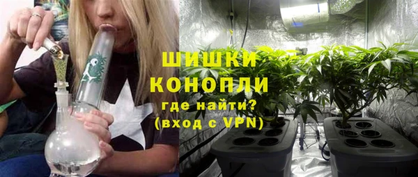 ПСИЛОЦИБИНОВЫЕ ГРИБЫ Инта