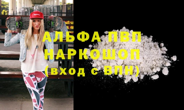 ПСИЛОЦИБИНОВЫЕ ГРИБЫ Инта