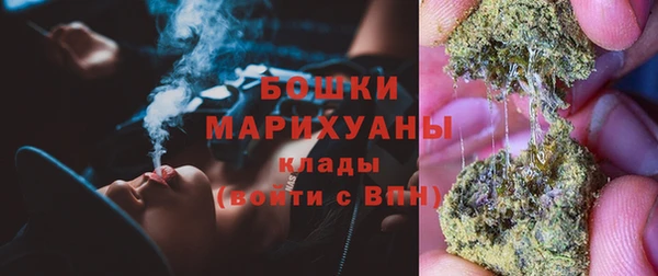 ПСИЛОЦИБИНОВЫЕ ГРИБЫ Инта