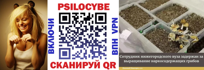 Галлюциногенные грибы прущие грибы  Купить где  Высоцк 
